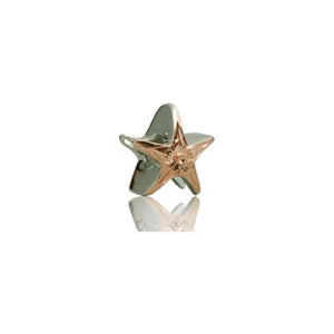 Sterling Silver Hawaiian Rose Starfish Bead