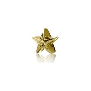 Sterling Silver Hawaiian Gold Starfish Bead