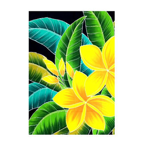 HALEIWA SARONG #19 - Yellow Plumeria